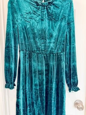 Pinkblush Maternity Dark Green Velvet Long-Sleeve Midi Dress